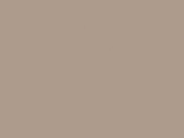 389 - Honed macchiato Xtra